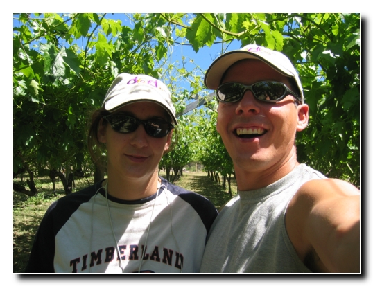 12 We love Grapes
